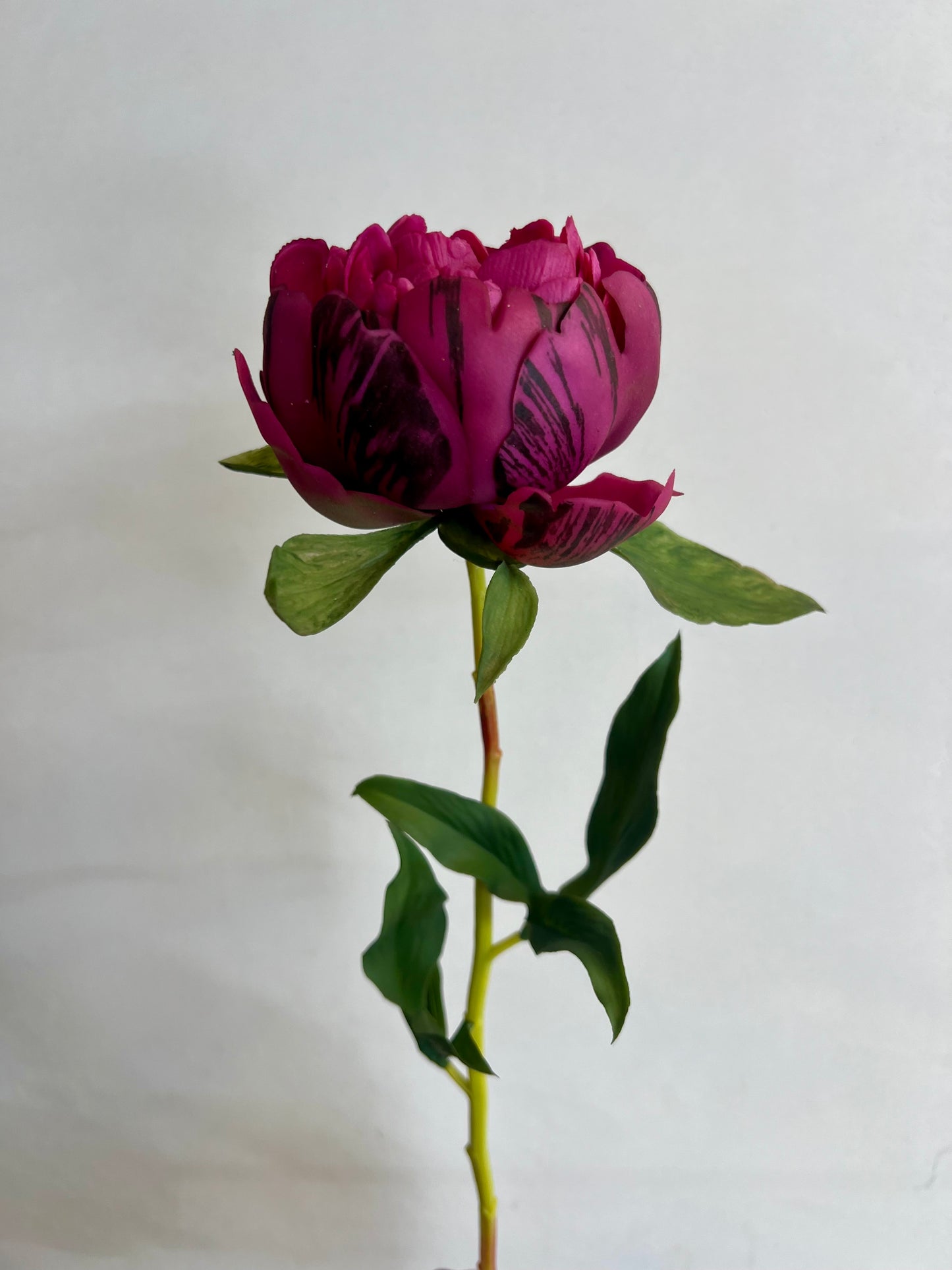 REAL | TOUCH | PIOEN | AUBERGINE | GROOT