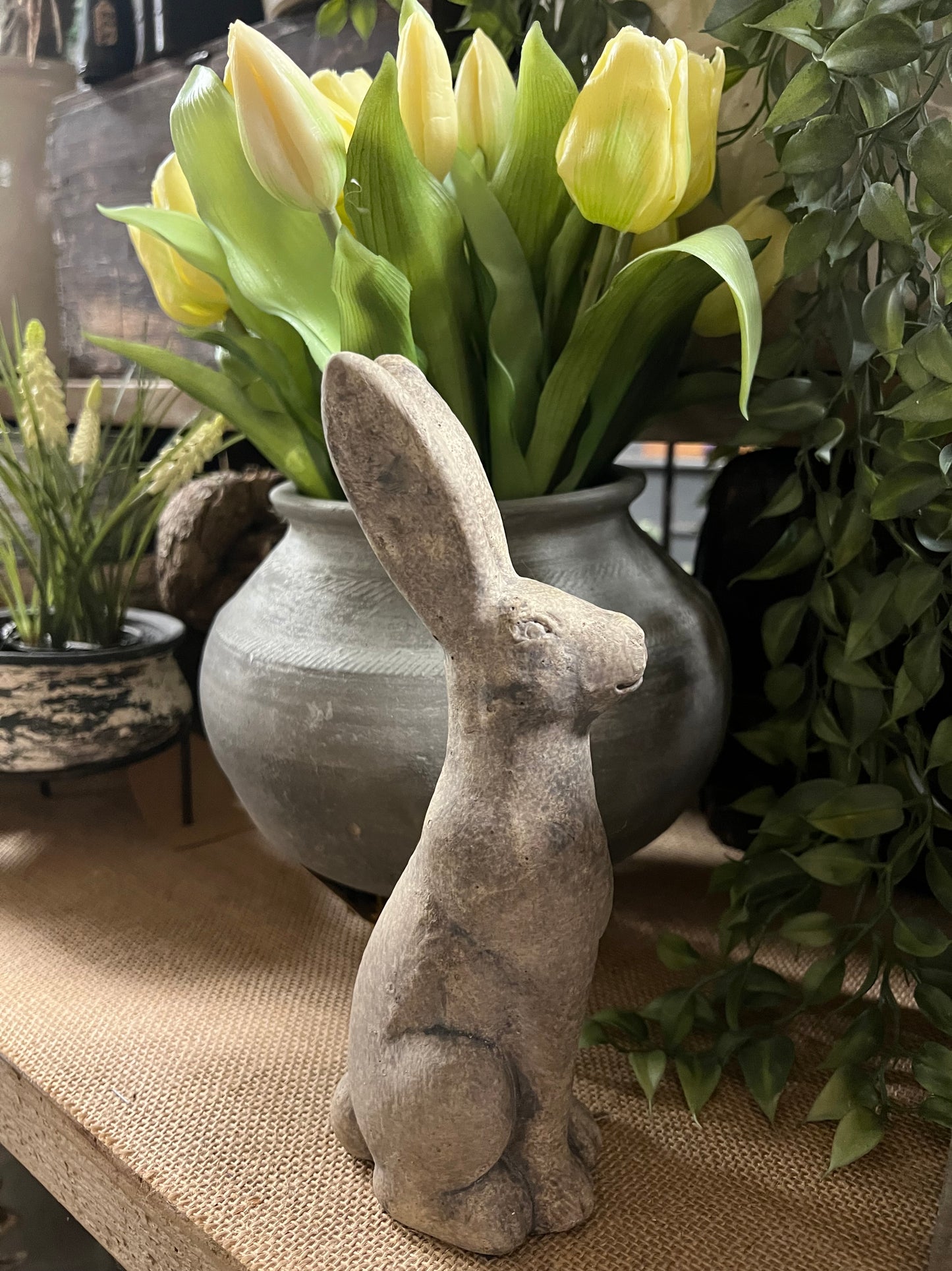 HAAS | STEEN | KLEIN | 2 | SOORTEN