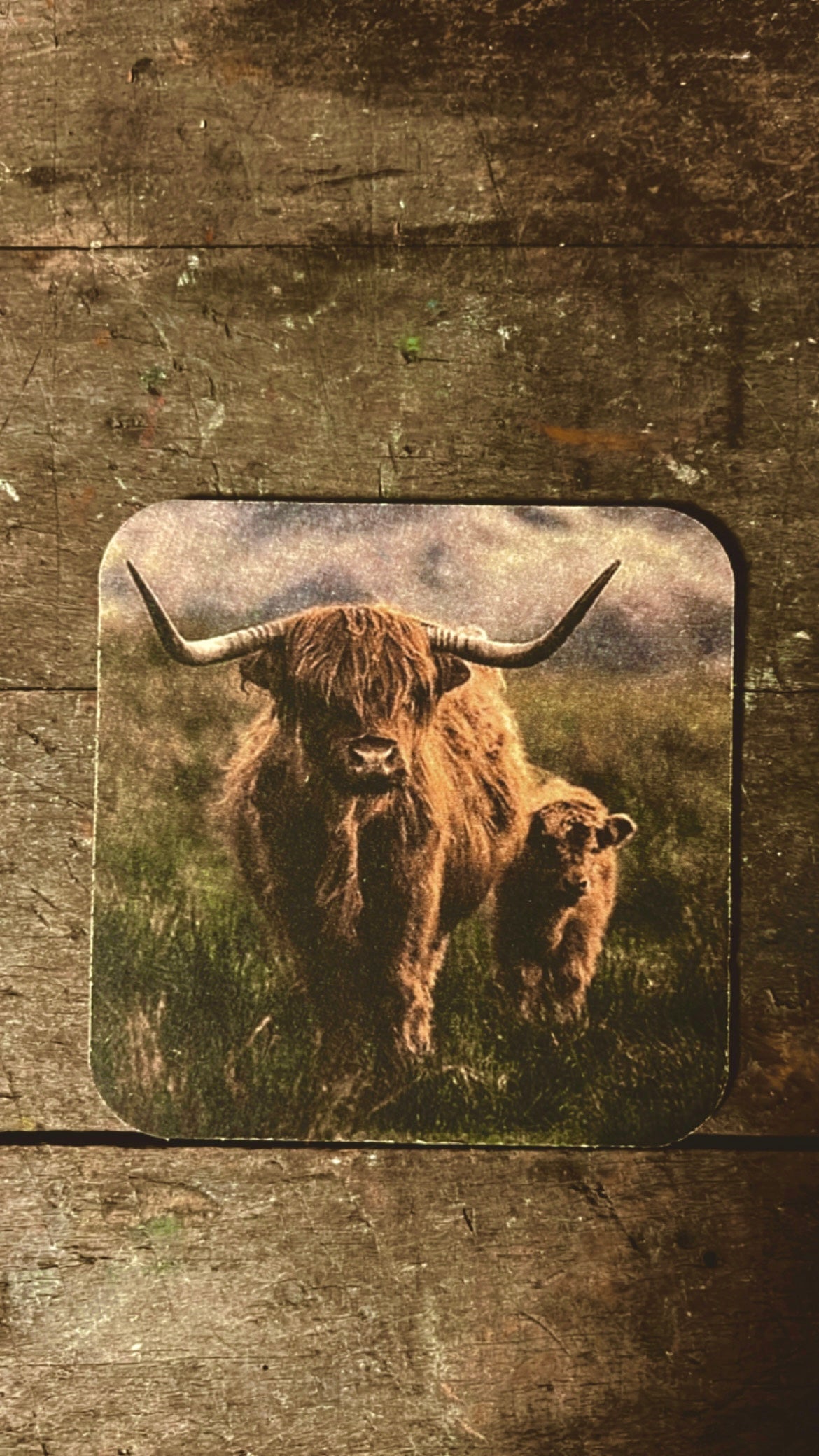 VILTJES | DIEREN | ZELF | SAMEN | STELLEN