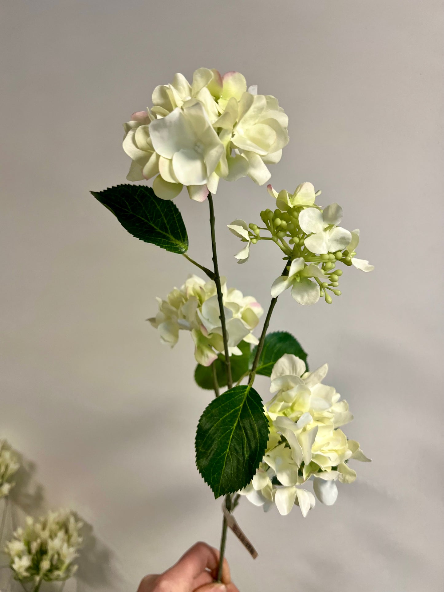 ZIJDEN | HORTENSIA | WIT | GROEN