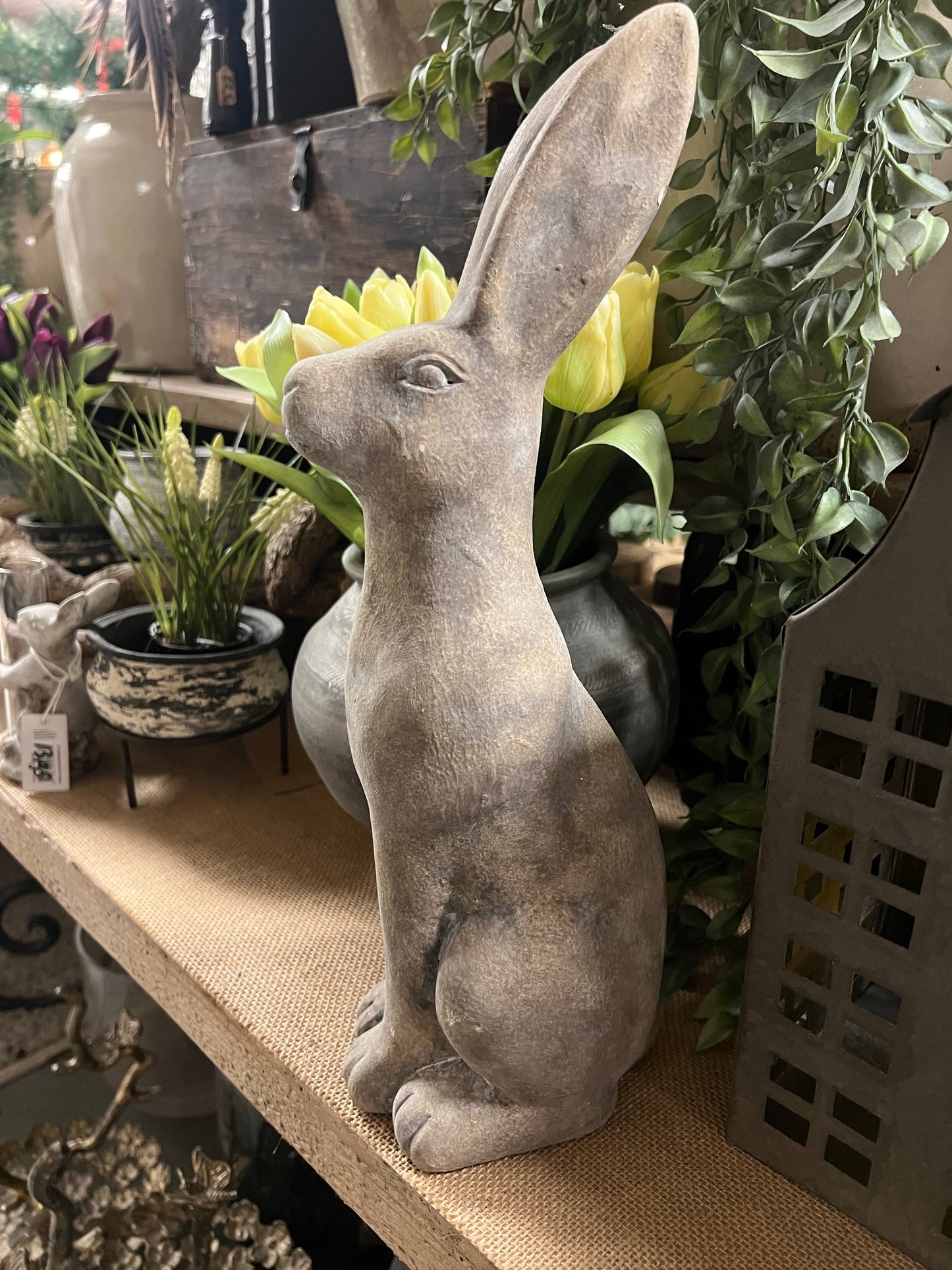 HAAS | STEEN | 2 | SOORTEN | GROOT