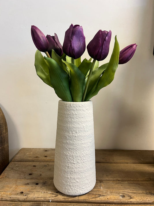 VAAS | NOHR | WIT | KLEIN