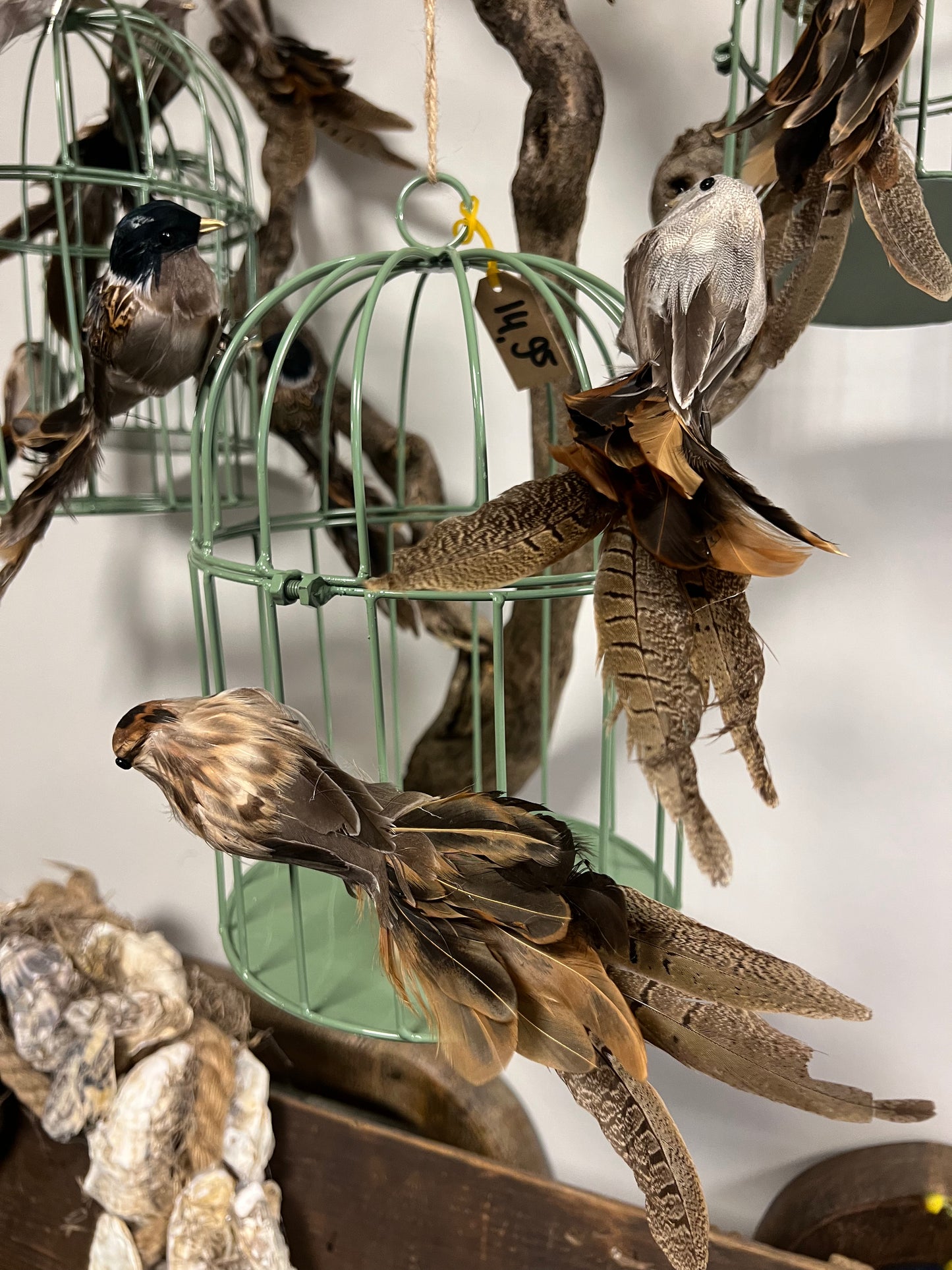 VOGELKOOI |  2 | MATEN | GROEN