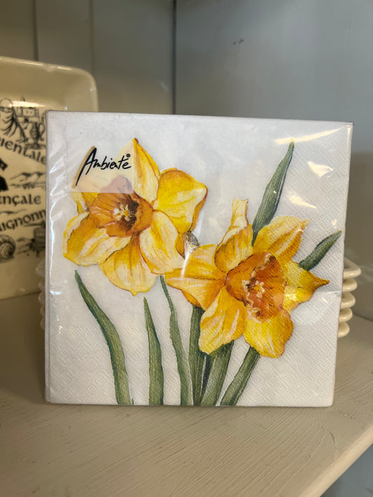 SERVETTEN | NARCIS