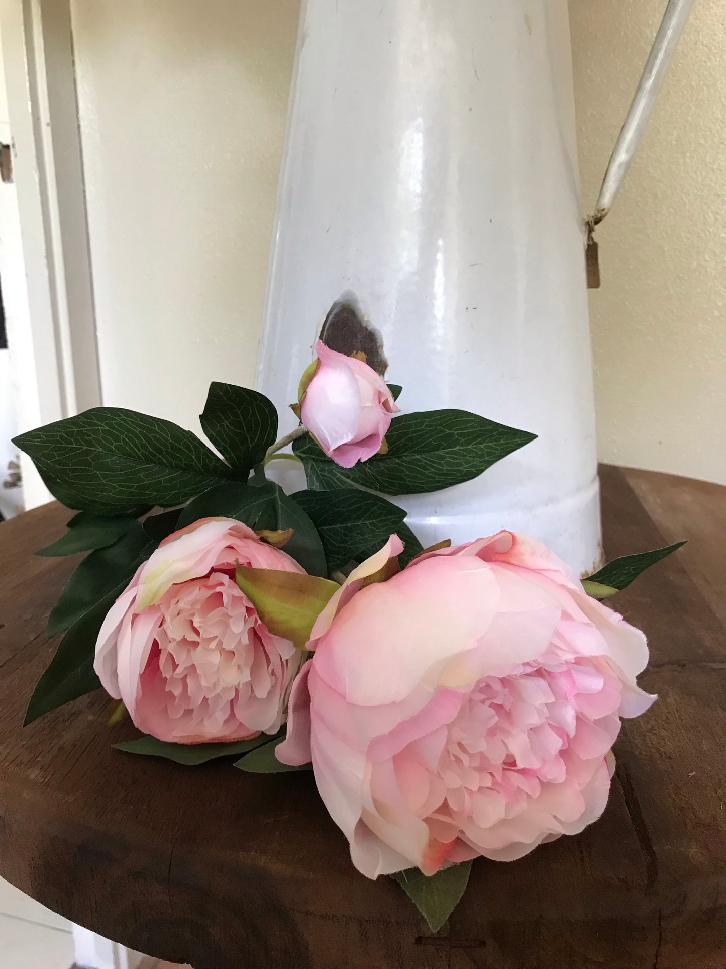 ZIJDEN | PIOENROOS | BLOEMEN