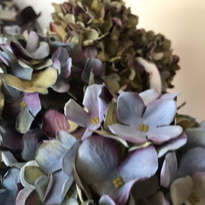 ZIJDEN | HORTENSIA’S
